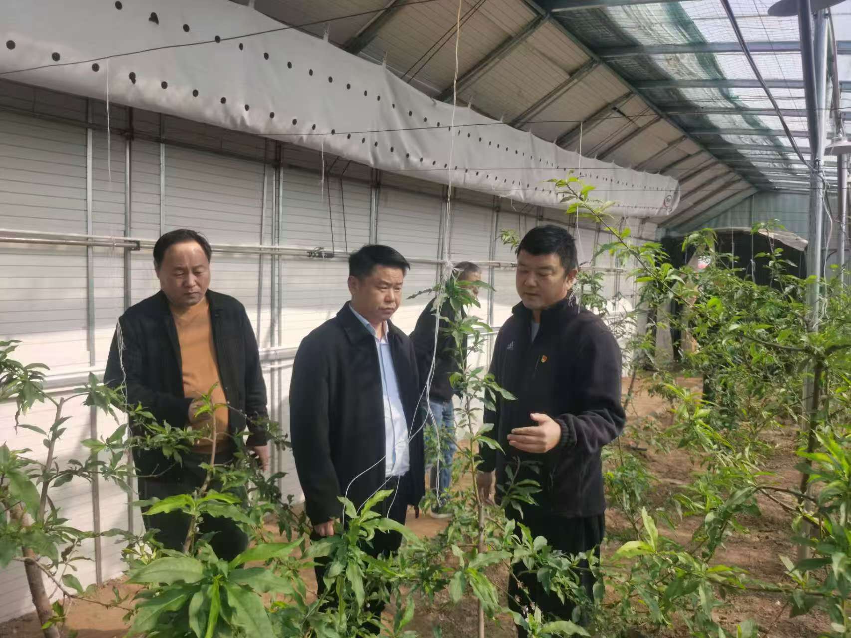 35036b0c4e8d23733b007de9b063848.jpg 35036b0c4e8d23733b007de9b063848.jpg